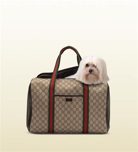 gucci pug|Designer Dog Carrier .